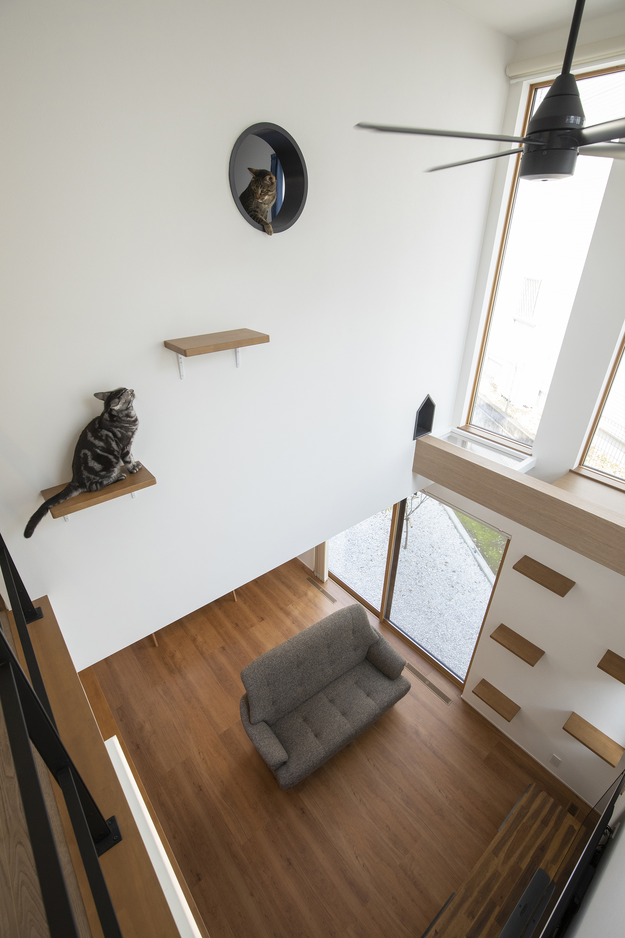 ２匹の愛猫とのびのび暮らす。猫が楽しめる家